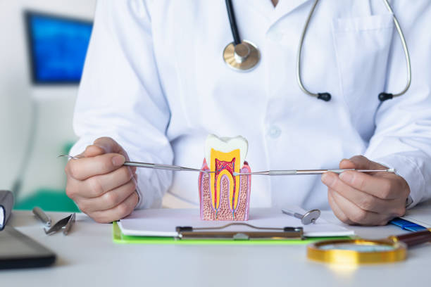 Best Pediatric Emergency Dentist in Cerritos, CA